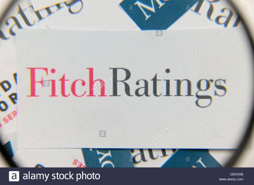 Agencija Fitch: Akvizicija Perutnine Ptuj od strane MHP ocenjena kao pozitivna