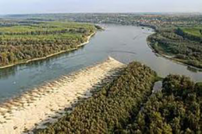 International Conference for the protection of the