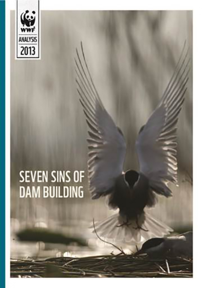 Dams Around the World Continue to Violate the Basic Criteria of Sustainable Development