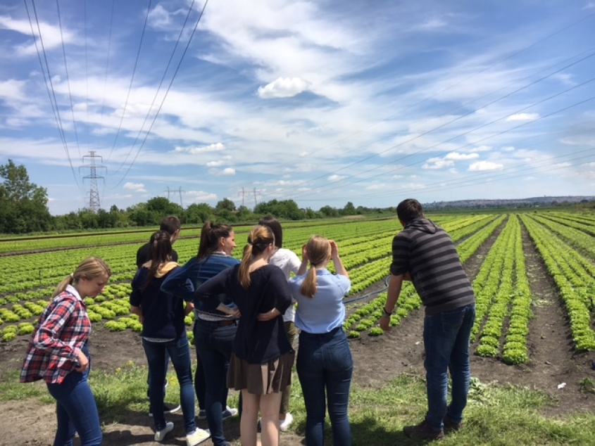 Students from the Faculty of Agriculture visit McDonald's supplier - Salat centar