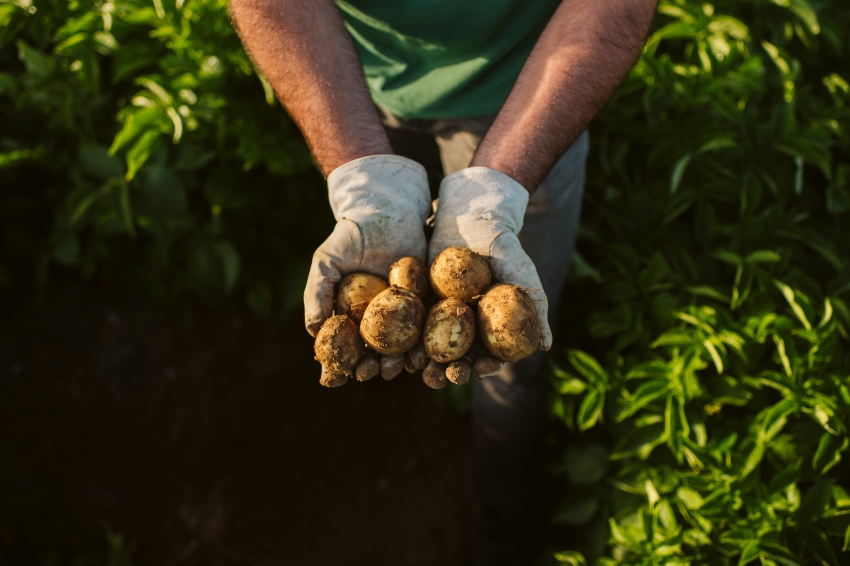 PepsiCo’s new ESG summary
