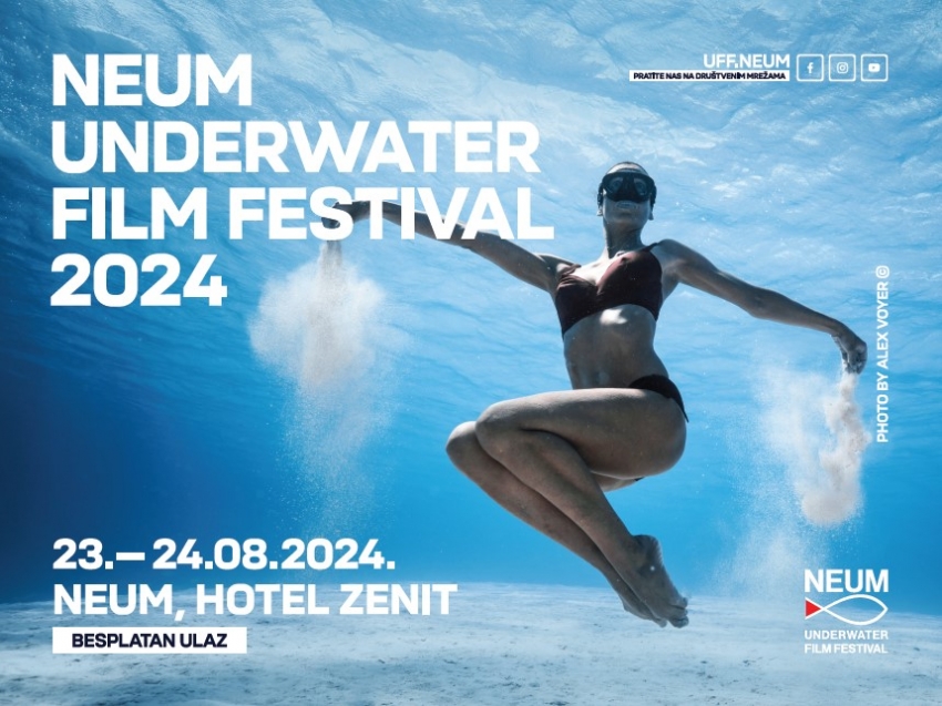 The best underwater films from around the world this year in Neum